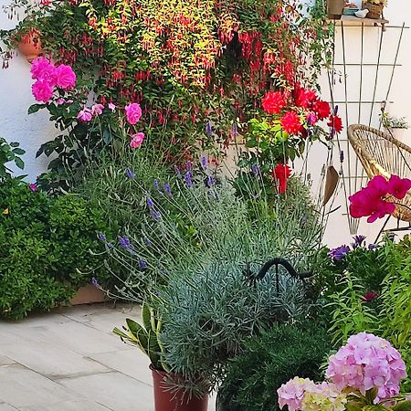 Juan Les Pins Plages Clim Wifi Maison Entiere Antibes Bagian luar foto