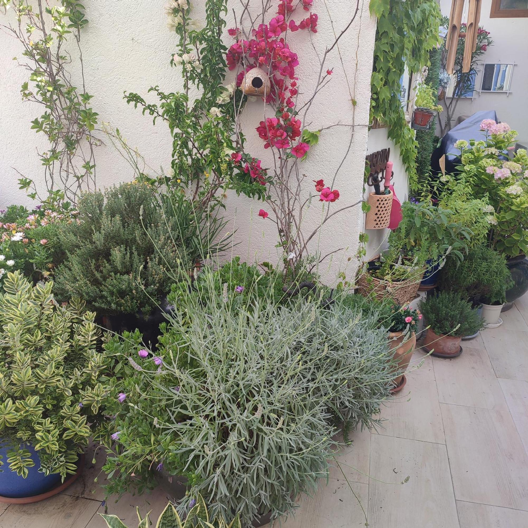 Juan Les Pins Plages Clim Wifi Maison Entiere Antibes Bagian luar foto